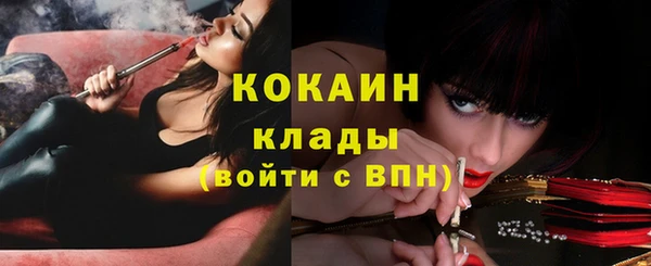 дживик Белоозёрский