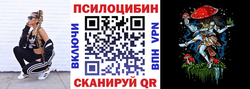 KRAKEN сайт  Высоцк  Галлюциногенные грибы Psilocybine cubensis  купить закладку 